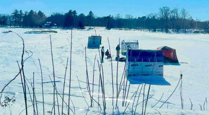 Maine’s idea of a good time.