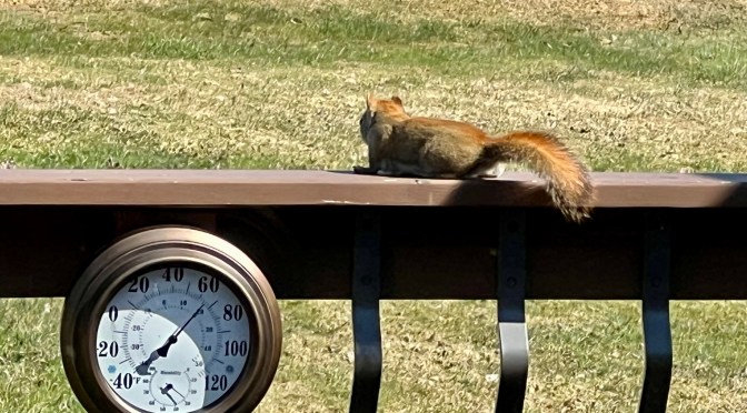 She’s such a tease.