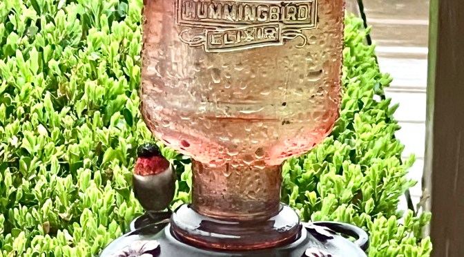 Is it any wonder I love this man?