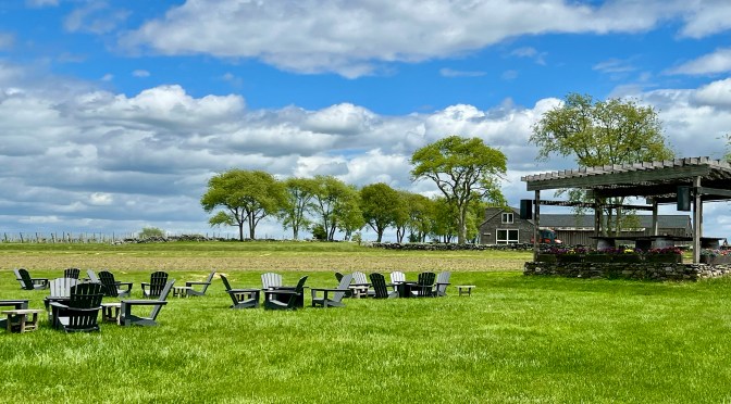 A rustic winery and a first rate second choice meal.