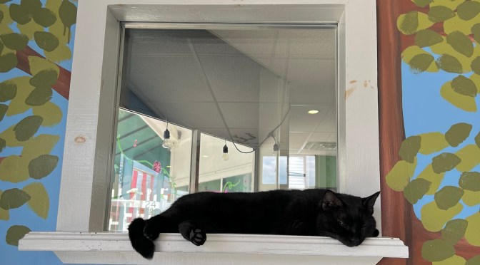 Because we missed His Lordship and I have a patient husband.