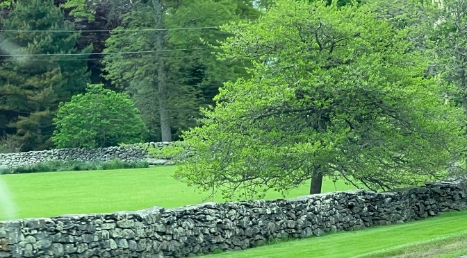 You get a stone wall. And you get a stone wall. Everyone gets a stone wall….