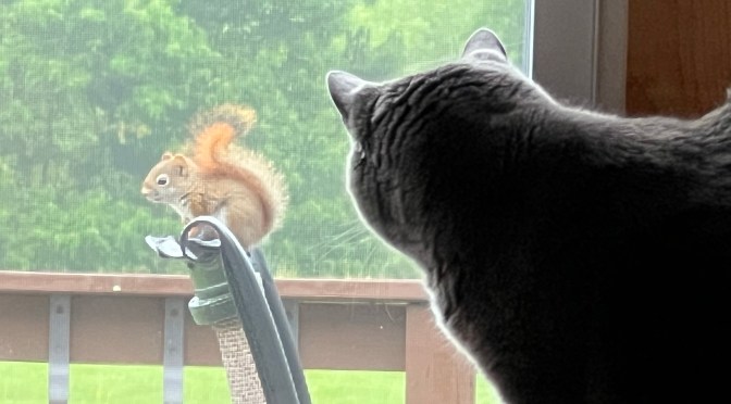 She does it on purpose.