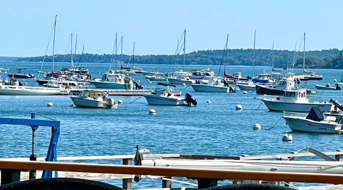 Lunch in shoulder season is divine.