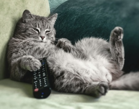 What I’m watching.