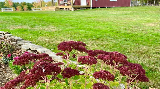 Danger, Will Robinson!