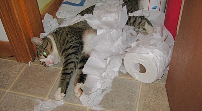 A toilet paper orgasm.