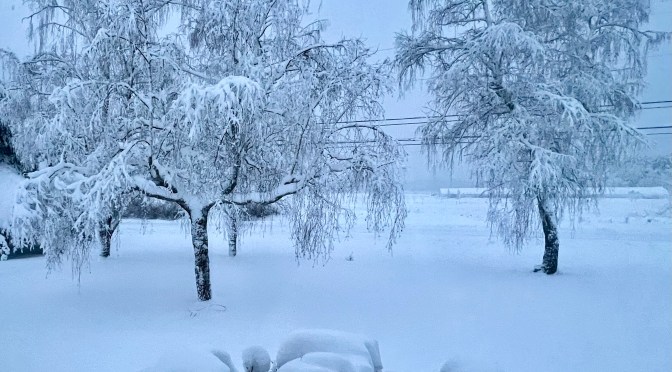 And then there was snow…