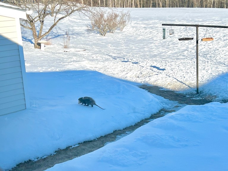 Poor little guy. | River's world…..