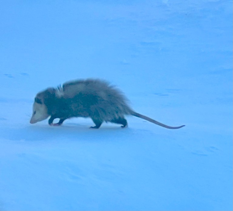 Poor little guy. | River's world…..