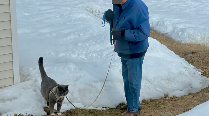 Winter critters and wet paws.