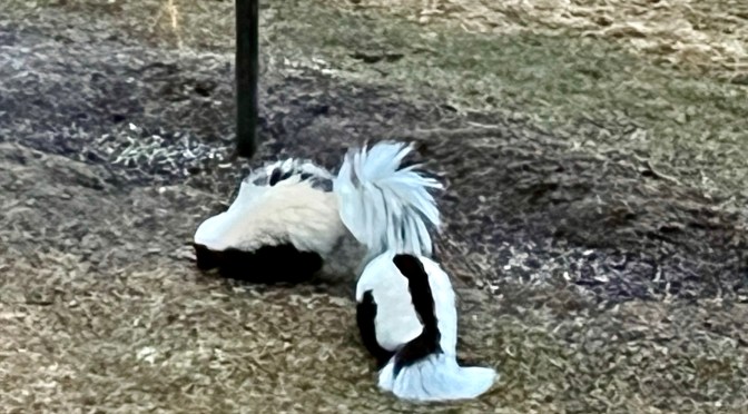 Some stinky visitors.