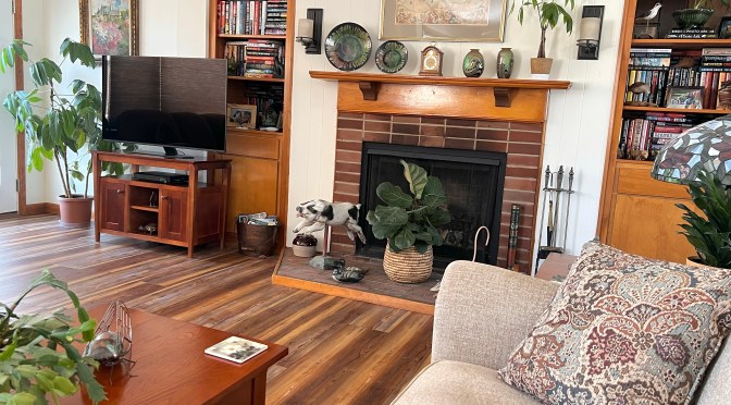 Sconces, cat litter and the moon.