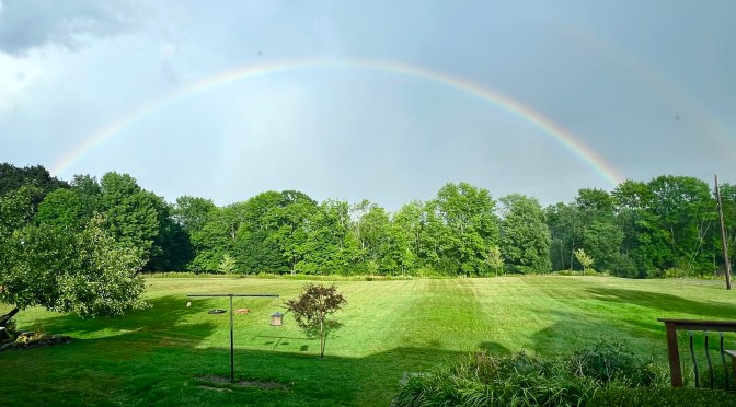 A rainbow, a recipe and Cluck Norris.